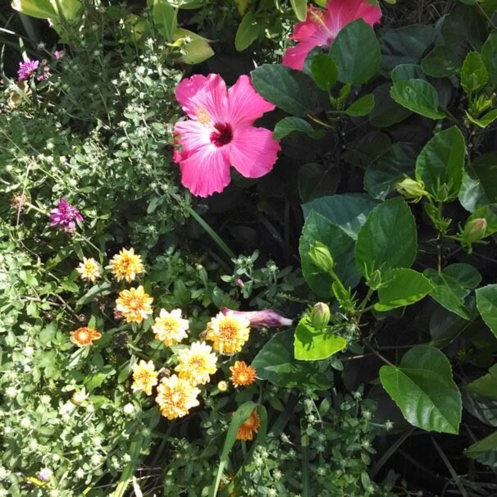 Meet your Posher, Marilyn